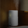 Увлажнитель воздуха Xiaomi Deerma Air Humidifier 5L [DEM-SJS600]