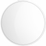 Датчик света Xiaomi Mi Light Detection Sensor