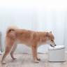 Питьевой фонтан Xiaomi для домашних живатных/ Xiaomi Smart Pet Fountain