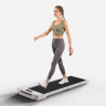 Беговая дорожка Kingsmith Treadmill Z1