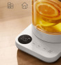 Заварочный чайник Mijia Multifunctional Health Pot N1