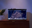 Умный аквариум Xiaomi Mijia Smart Fish Tank